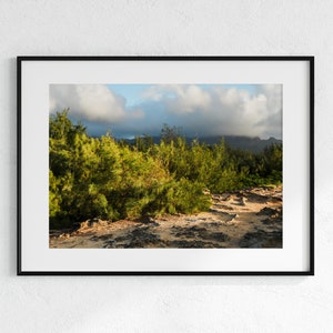 Kauai Hike | Photo Print | Hawaii Photography | Kauai | Wall Decor | Surf | Beach | Travel
