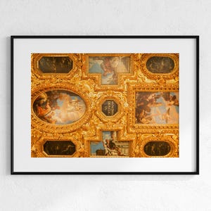 May include: Framed print of a detailed ceiling painting with ornate gold frames and painted scenes. The artwork features various oval and rectangular panels with figures and sky-blue backgrounds, set against a gold background.