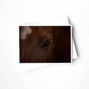 Force tranquille | 5 Cartes de notes avec enveloppes | Papeterie | Art de voyage | Carte postale | Chevaux | Photographie équine