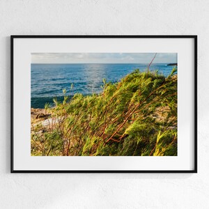 The Hawaii Brush | Photo Print | Hawaii Photography | Kauai | Wall Decor | Surf | Beach | Travel