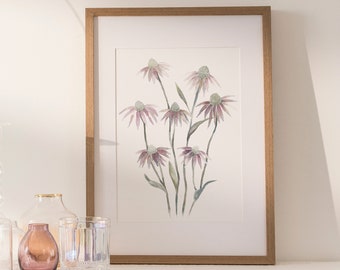 Echinacea: Print