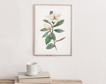 Sweet Magnolia: Print