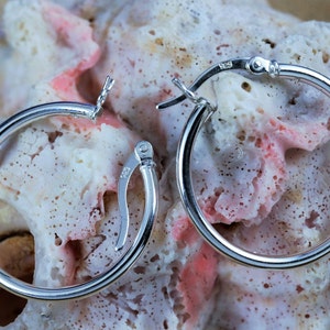 May include: A pair of silver hoop earrings with a hinged clasp. The earrings are on a white and pink coral background.