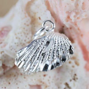 May include: A silver charm shaped like a seashell. The charm features a detailed, textured design and is ideal for adding a touch of coastal style to jewellery.