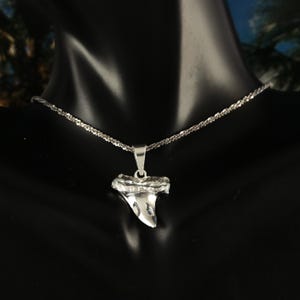 Silver Shark tooth pendant, 3/4&quot; tall + 1/4&quot; bail. Diamond cut solid .925 Sterling Great white tooth charm, Fast Free Shipping.