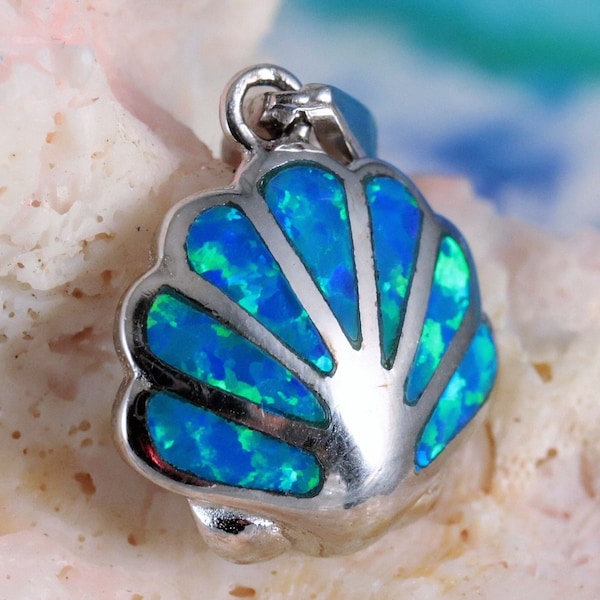 Scallop Shell Inlay Scallop Shell - Etsy