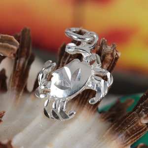 May include: A small, shiny silver crab charm with detailed claws and body segments. The crab's shell features a decorative etched design. The charm has a loop for attaching to a necklace or bracelet. The background is blurred with warm colors.