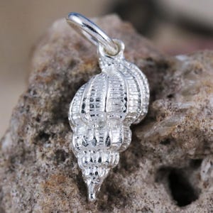 Silver small banded tulip shell charm, 9/16" tall + 1/4" bail .Diamond cut .925 Sterling seashell pendant gift for her, fast free shipping