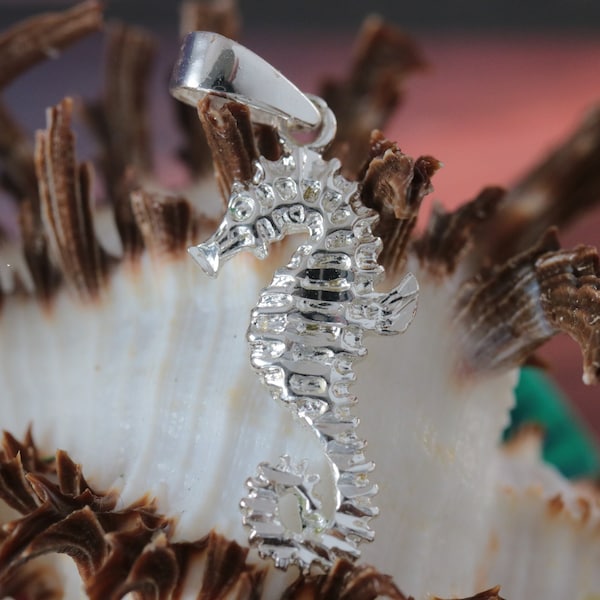 Pendentif hippocampe en argent. 1 1/4 po. de long avec caution diamantée. 925 sterling hippocampe Sea life collier charme bijoux cadeau. Livraison rapide gratuite