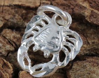 Sterling Silber Krabbe, Diamond Cut Anhänger, 7/16 + 1/*4 cm Öse.