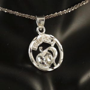 Pingente com nome de pêssego da Geórgia 925. Pingente de moldura circular de prata esterlina com corte de diamante de 3/4' + 1/4" de altura para ela, frete grátis rápido