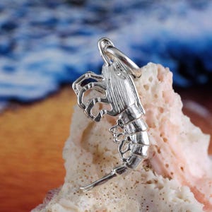 May include: A silver charm in the shape of a shrimp. The charm is detailed and realistic, with visible claws and body segments. The charm is shown on a white, textured background.