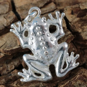May include: A silver frog charm with a detailed, textured surface. The charm has a loop at the top for attaching to a necklace or bracelet.