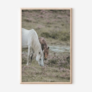 Póster de caballos A4, set de carteles, habitación de bebé, cuadro de caballos, amor de caballos, mural de caballos, póster de animales, mural de animales