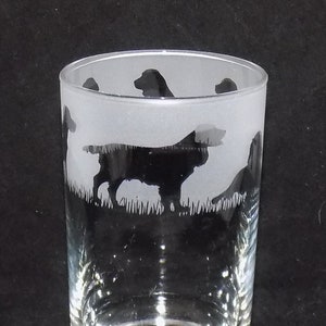 New Hand Etched 'SPRINGER SPANIEL ' Hiball Glass(es) And Free Gift Box Great Gift For All Occasions Something Different Thoughtful & Unique