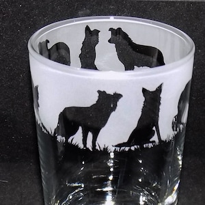 Hand etched 'BORDER COLLIE' dog hiball glass with gift box - Unique & personal gift for Border Collie owners! Border Collie gift.