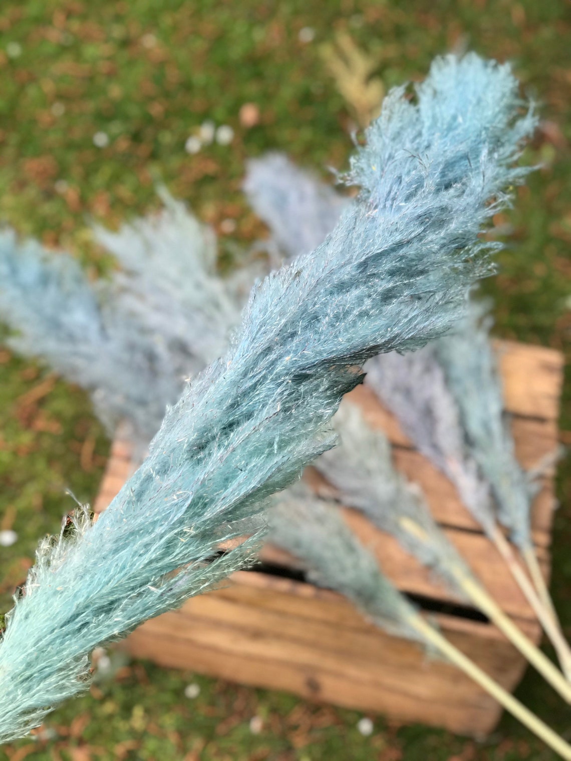 Mid blue fluffy pampas grass Etsy