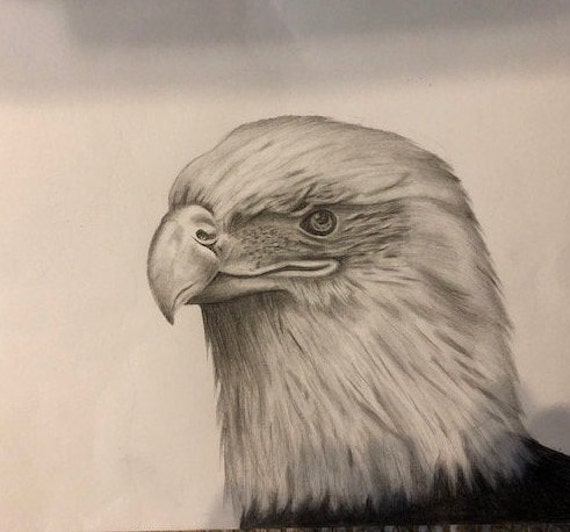 Realistic eagle drawing by Ahmad-141 on DeviantArt