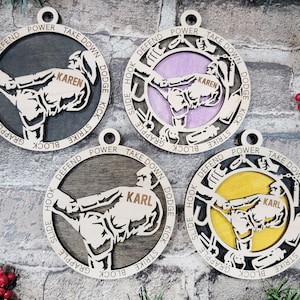 Personalized Male or Female Martial Arts/Karate/Taekwondo/Jiu Jistu Ornament - Sports Ornament Collection