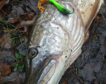 Colores neón, efecto moteado arrugado plateado para jig, señuelo de pesca con cabeza, pintura en polvo para plomos, 80 g / 2,82 oz en frasco
