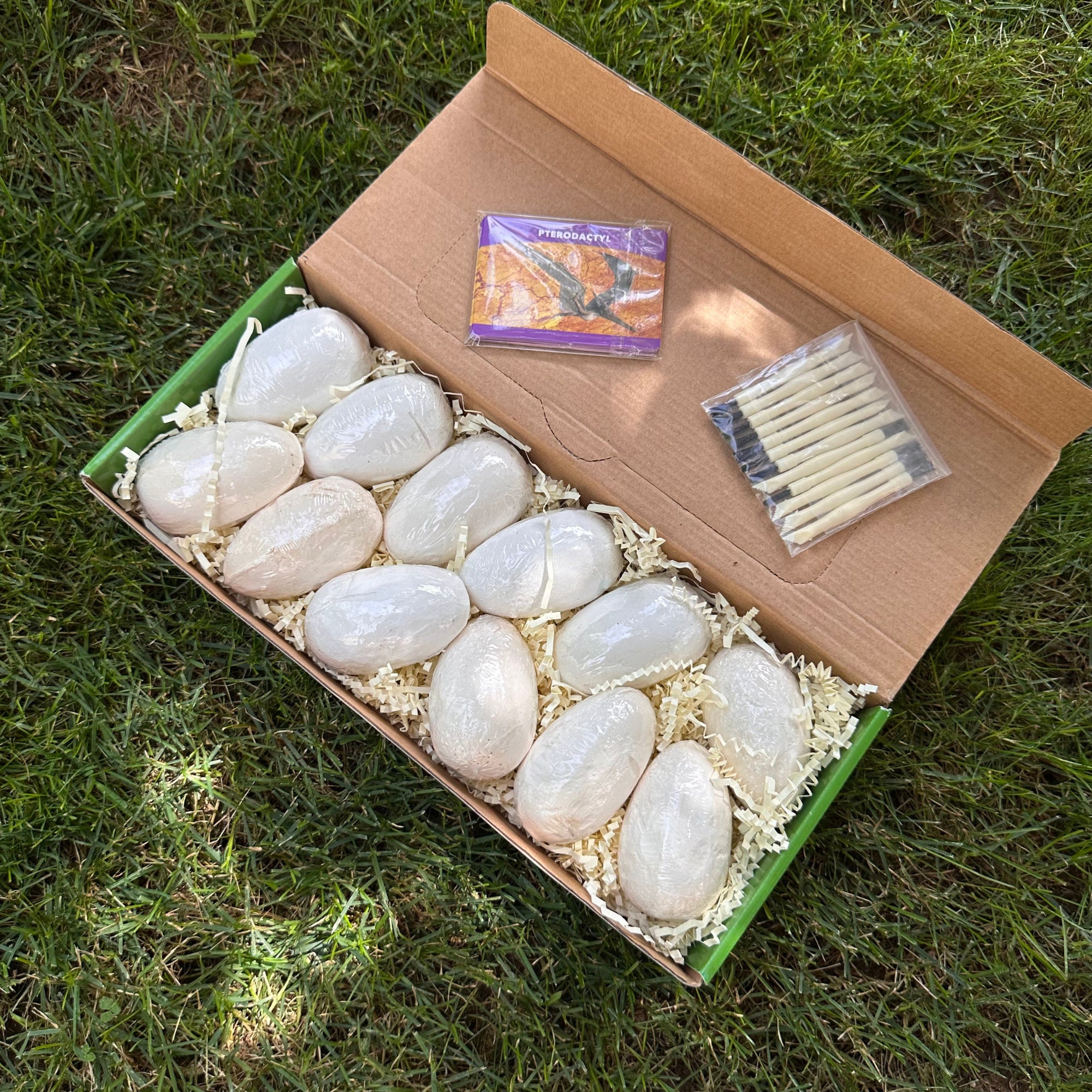 Dig a Dozen Dino Eggs Dig Kit Archaeology Science STEM 