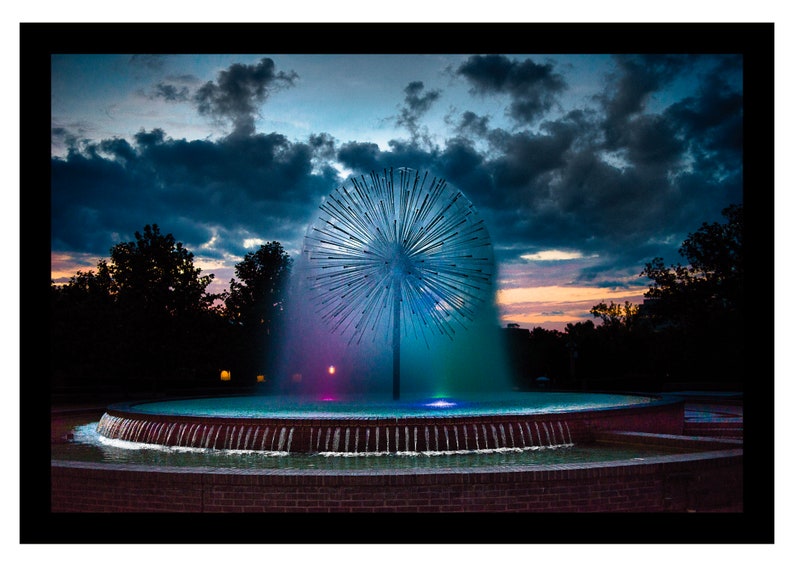 Photography Colour by Night Houston's Dandelion Etsy Photography Colour by Night Houston's Dandelion Etsy