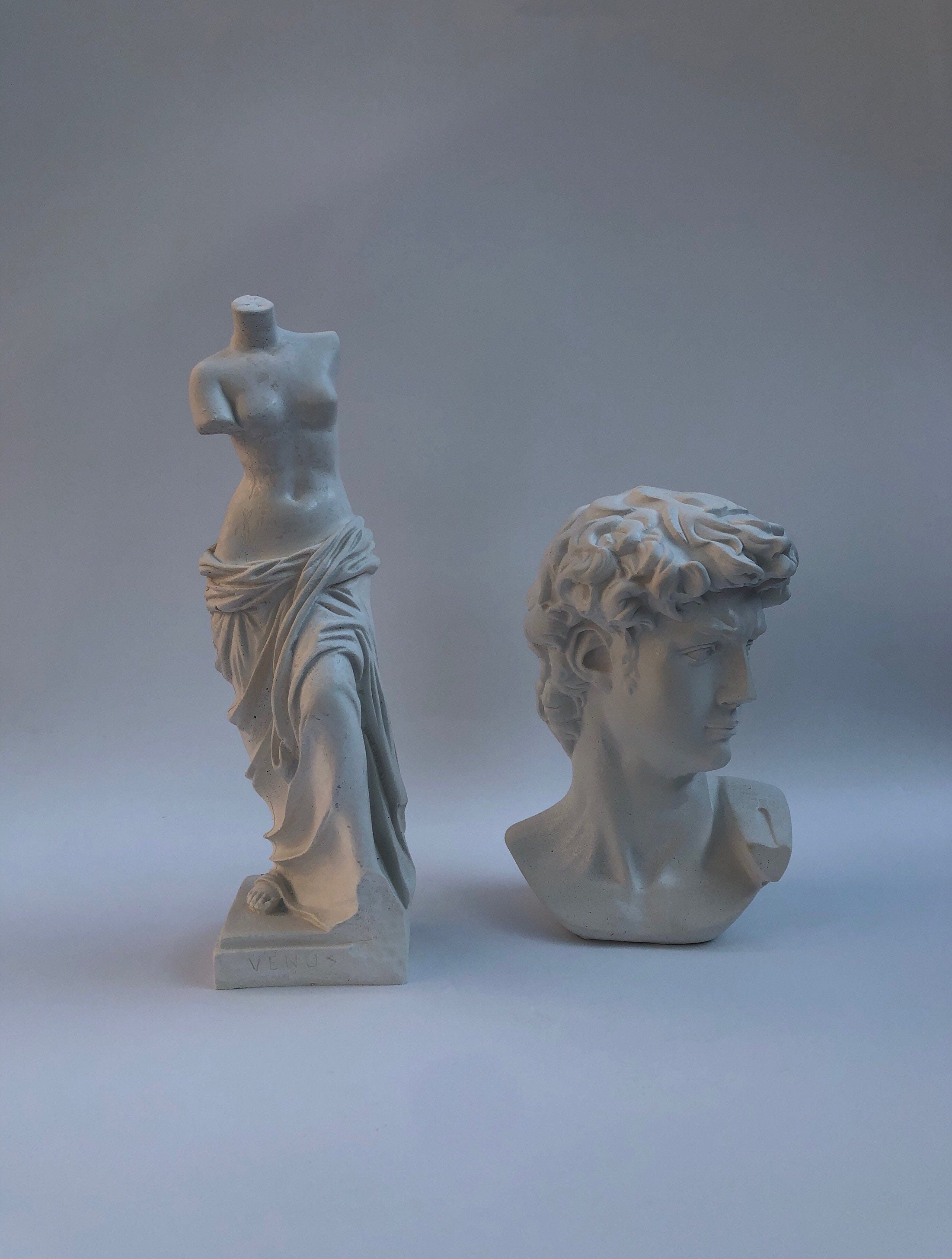 Venus and David statue set LARGE Venus bust Vintage Etsy