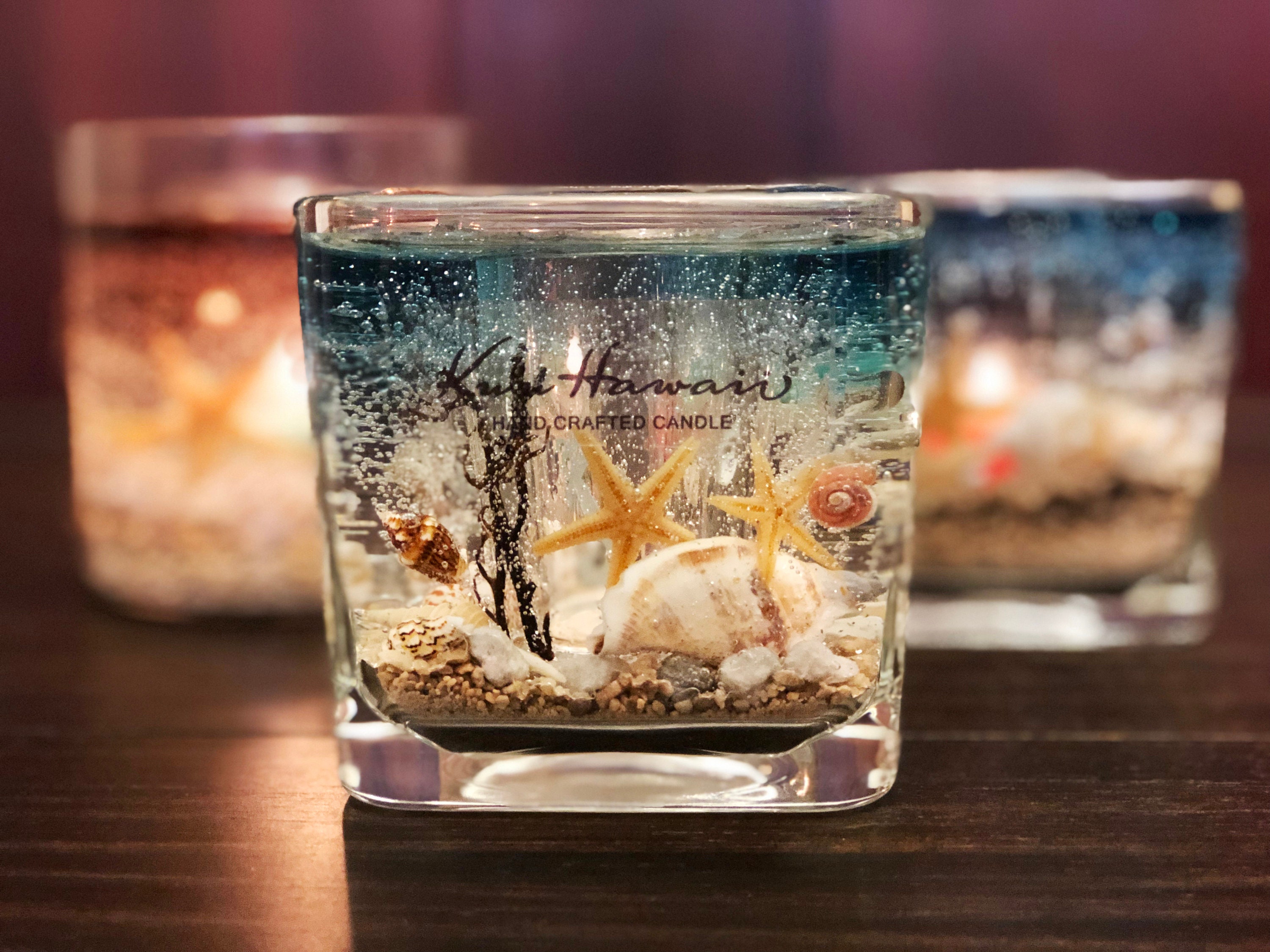 Aquarium Ocean Candle Gift Set Forever Holder Soy Tea Lights 