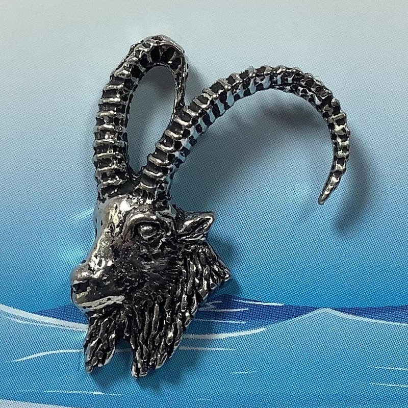 Boars Head Pins - Etsy