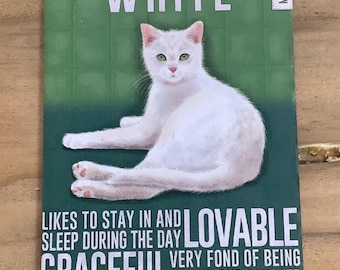 White Cat - Quality Metal Fridge Magnet - Reduced