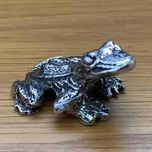 Op de afbeelding: Een zilveren kikkerbeeldje met een gedetailleerd, gestructureerd oppervlak. De kikker zit met open mond en uitgestrekte poten.