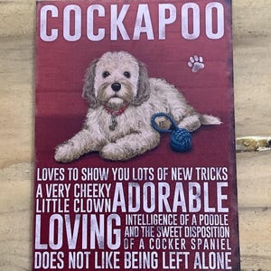 Puede incluir: Un letrero rectangular con la palabra "COCKAPOO" en letras blancas. El letrero presenta un perro Cockapoo de color claro con un collar rojo y un juguete azul. El texto describe la personalidad del perro, incluyendo "adorable".