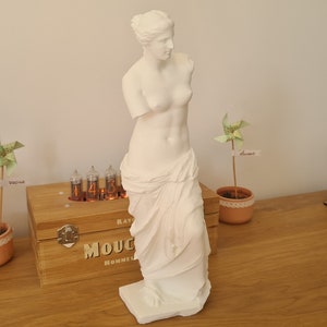 Statue Venus De Milo 33 cm Couleur au choix image 7