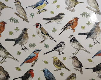 Ceramic or Glass Waterslide Decal - Birds Pattern, Twigs, Leaves, Blue Tit, Warbler, Finch, Pied Wagtail, Robin, Sparrow, Chaffinch, Thrush