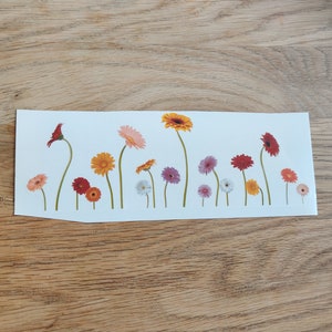 May include: A white sheet of paper with a row of colourful gerbera daisies printed on it. The flowers are in various shades of pink, red, orange, and yellow.