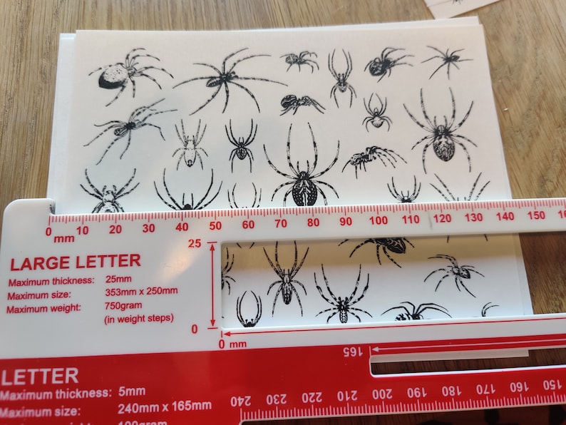 Creative Spider Ruler Waterslide Decal - Assorted Spiders Black Dark Creepy Crawly Insect ...