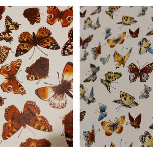 May include: A white background with a repeating pattern of brown and orange butterflies. The butterflies are in various sizes and positions.