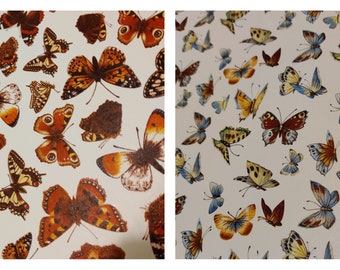Ceramic or Glass Waterslide Decal - Butterflies Collection. Colourful Multicoloured Brown Insect, UK Wildlife, Wings, Brimstone, Red Admiral
