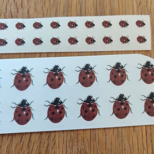 May include: A sheet of red and black ladybug stickers. The stickers are arranged in rows on a white background.