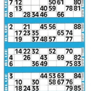 300 Bingo Game Single Ticket Card Flyer Pads Book 50 Sheet Security Coded Party