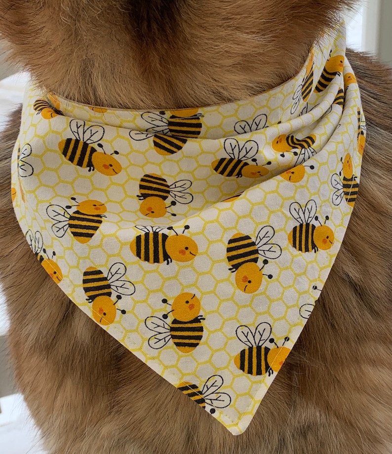 Dog Bandana Busy Bee Elastic Dog Bandana Scrunchie Dog Etsy