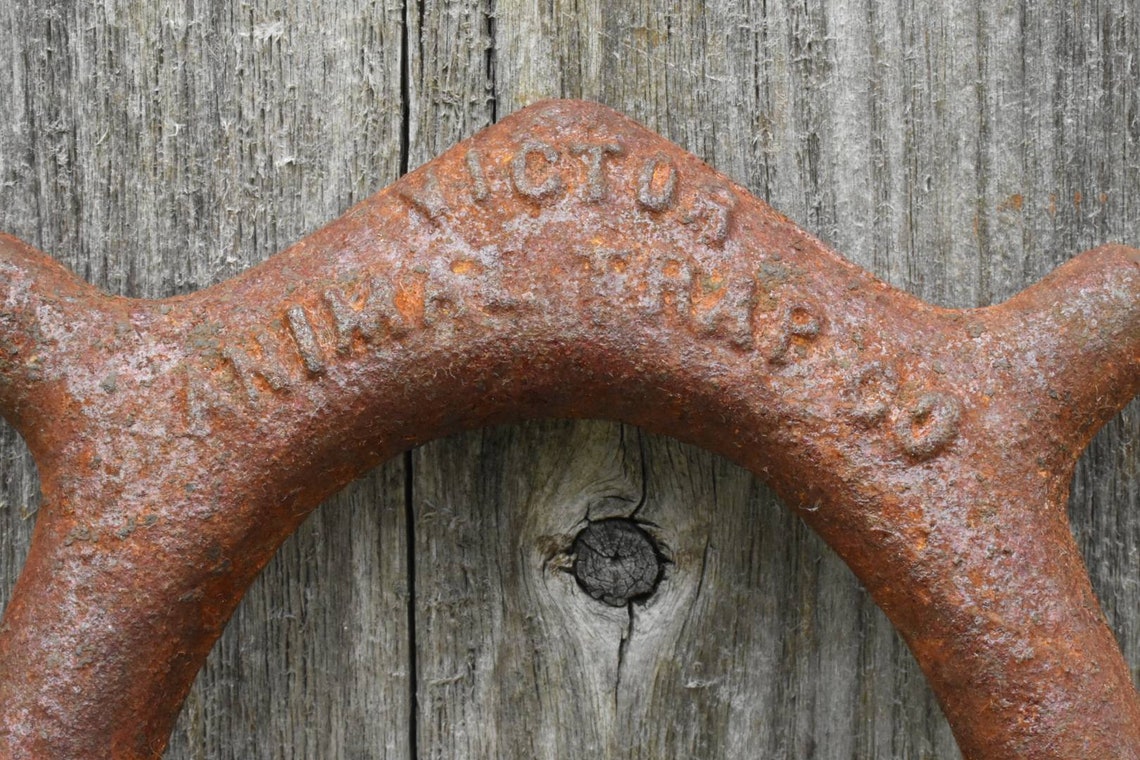 Antique Duck Decoy Weights Cast Iron Hunting Memorabilia from Etsy