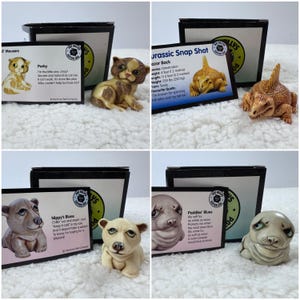 May include: A collection of four small animal figurines, including a cat, a dinosaur, a bear, and a seal. Each figurine is paired with a card featuring a name and a short poem. The figurines are in front of black boxes.