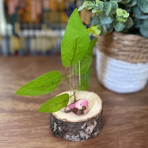 Bird Propagation Station
