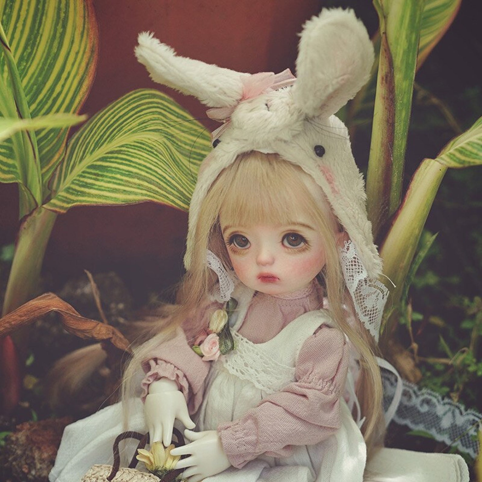 Anime dolls amazon Clearance