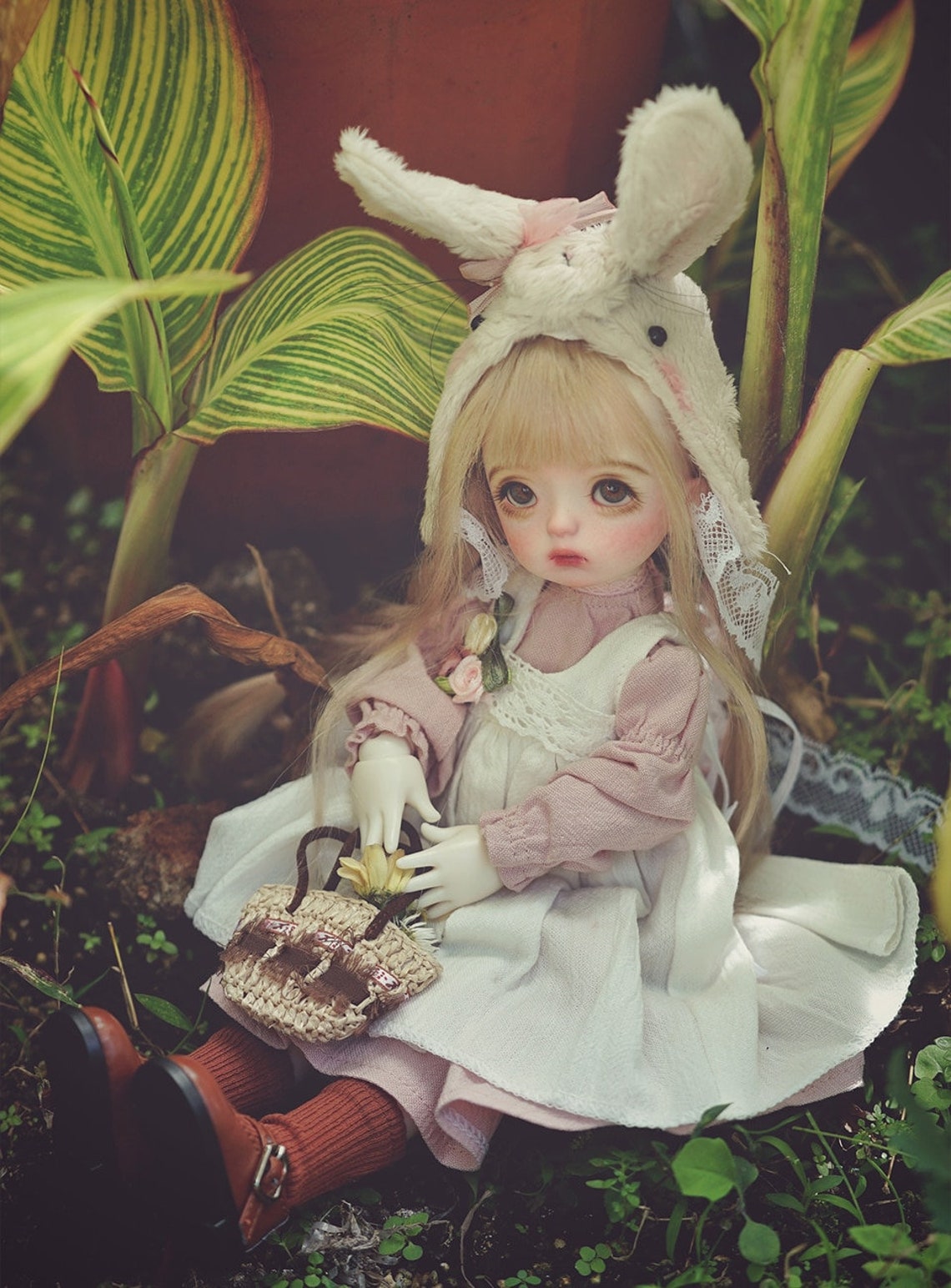 Bjd Doll Shuga Fairy Zris 16 Doll Anime Figure Resin Toys For Etsy