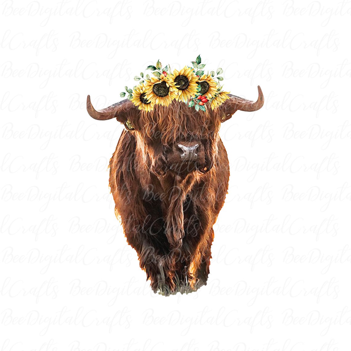 Highland Cow PNG Download Floral Cow Sublimation Design Watercolor ...