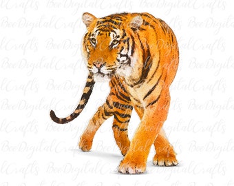 Tiger PNG sublimation download Wild animal digital PNG design Watercolor graphics for t-shirt sublimation
