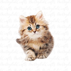 Watercolor cat PNG sublimation design Cute pet sublimation download Kitten PNG digital design