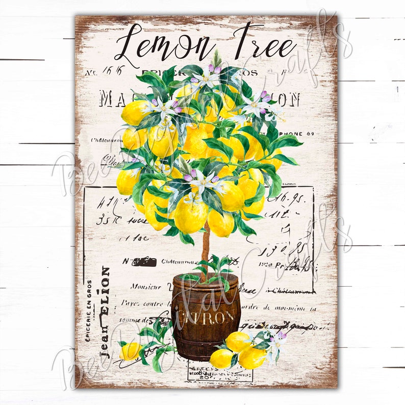 Vintage Lemon Tree Four Large Collage Sheets French Decor Digital Downloads